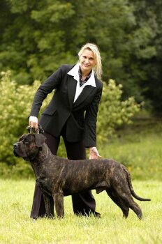 VIGO DE BARNACAN BULL