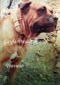 TRAVIESO