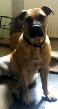 ROUX