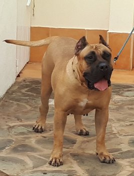 ARUCA