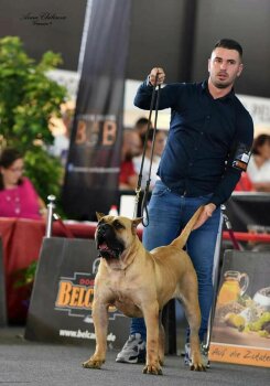 LIOBA DE CANARIKENNEL