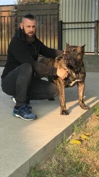 DACOS VIKING GUARD KENNEL