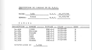 MORENA DE LOS ENANOS