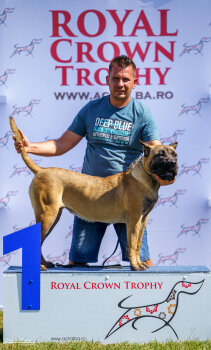 A-REINA DARIA PRESA CANARIO