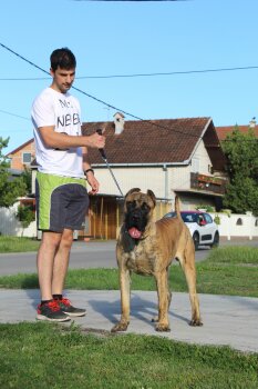 CEZAR AKA MEF