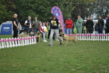 A-BRENDA DARIA PRESA CANARIO