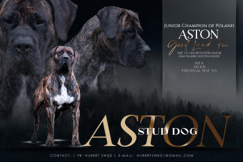 ASTON GOOD LAND (FCI)