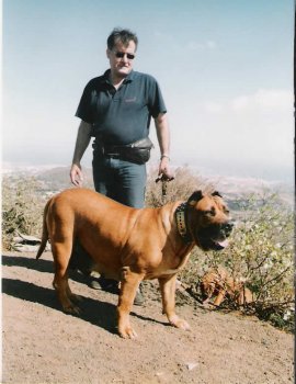 TARA DE CARMELO VALIDO